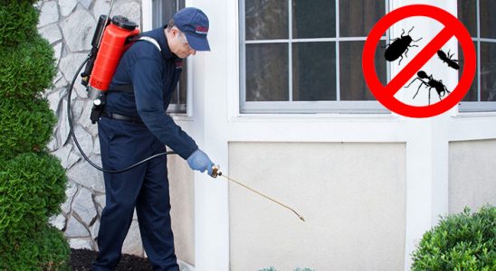 Harmandalı Pire İlaçlama böcek ilaçlama ve haşere kontrolü — ilaclama-tr.com